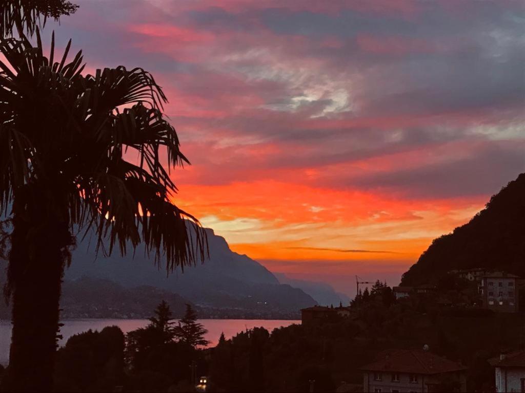 Villa Mojana Bellagio Oliveto Lario Εξωτερικό φωτογραφία